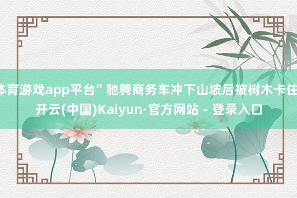 体育游戏app平台”驰骋商务车冲下山坡后被树木卡住-开云(中国)Kaiyun·官方网站 - 登录入口